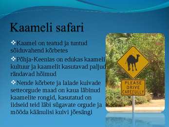 Populaarsemad safarireiside kohad maailmas - powerpoint #9