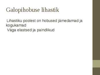 Galopivõidusõidud #12
