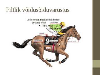 Galopivõidusõidud #14