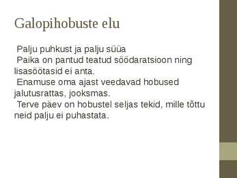 Galopivõidusõidud #15