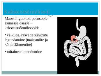 Seedeelundkond powerpoint #11