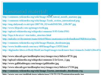 Seedeelundkond powerpoint #16