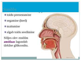 Seedeelundkond powerpoint #3