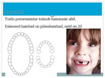 Seedeelundkond powerpoint #4