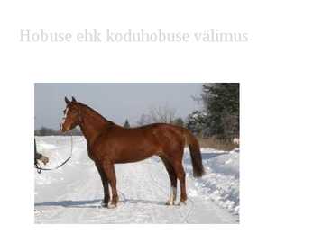 Hobused #2