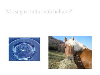 Hobused #5