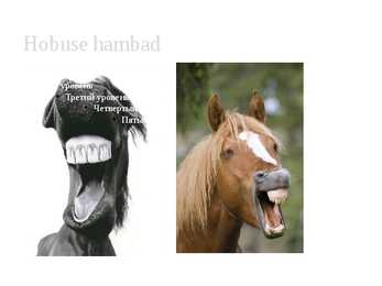 Hobused #7