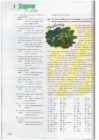 Upstream B2 Teacher s Book For Workbook #137