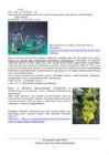 ORGAANILINE KEEMIA 2-osa #11