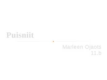 Puisniit ja nende liigitus