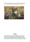 Der Wolf #3