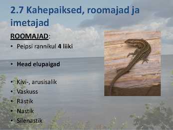 Peipsi järve elustik ESITLUS #11