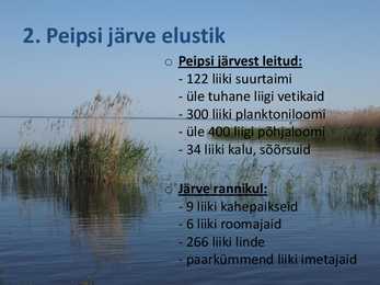 Peipsi järve elustik ESITLUS #3