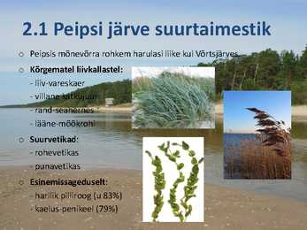Peipsi järve elustik ESITLUS #4