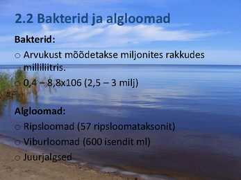 Peipsi järve elustik ESITLUS #5