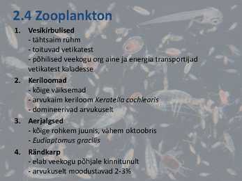 Peipsi järve elustik ESITLUS #7