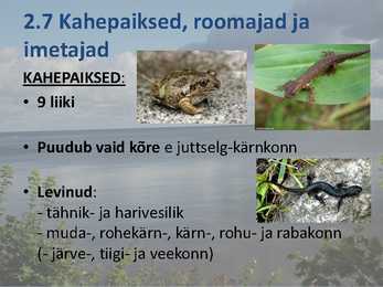 Peipsi järve elustik ESITLUS #10