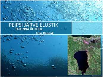 Peipsi järve elustik ESITLUS