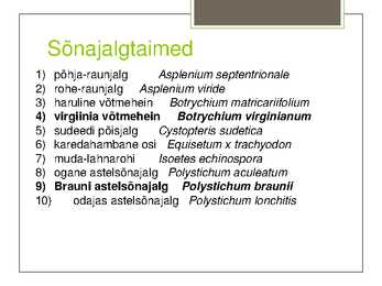 Teema 22 kaitsealused taimed I kategooria #16