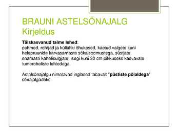 Teema 22 kaitsealused taimed I kategooria #21