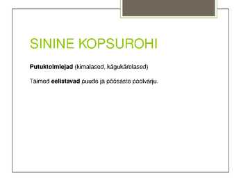 Teema 22 kaitsealused taimed I kategooria #32