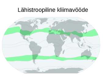 Albaania vabariik #7