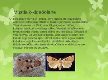 Eesti Liblikad #7