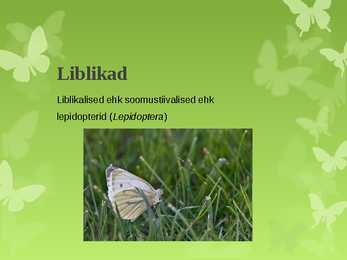 Eesti Liblikad