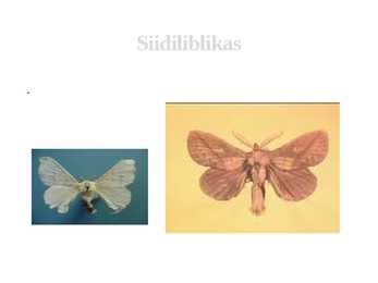 Mida saame loomadelt #5