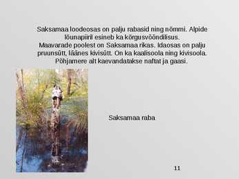 Saksamaa #11