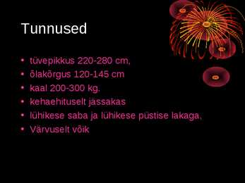 Preževalski hobune ja Krookus referaat #2