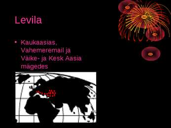 Preževalski hobune ja Krookus referaat #11