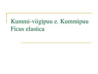 Hüatsint-siniaara ja Kummi-viigipuu referaat #7