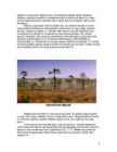 Raba - referaat #3