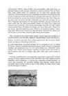 Haug #6