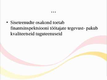 Finantsinspektsioon #13