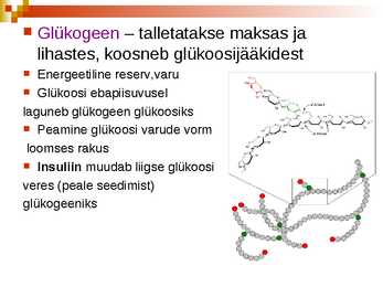 Süsivesikud ja nende roll organismides #11