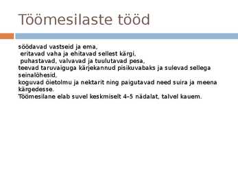 Mesilaspere #4