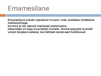 Mesilaspere #5