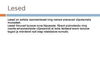 Mesilaspere #6