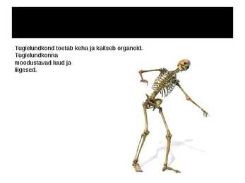 Tugielundkond #2