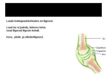 Tugielundkond #13