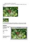 Gimp uurimustöö #12