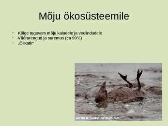 Naftareostus #3
