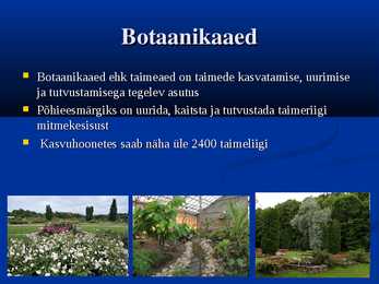 Tallinna vaatamisväärsused #7