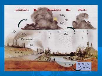 What is acid rains #8