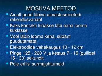 Nimetu #11