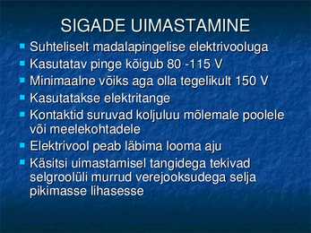 Nimetu #13