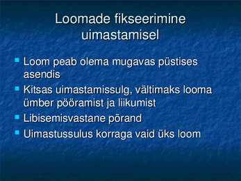 Nimetu #17