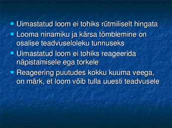 Nimetu #19